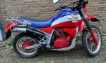 IMG_6459 (800x600)