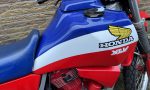 IMG_6463 (800x600)