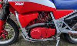IMG_6468 (800x600)