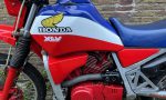 IMG_6469 (800x600)