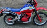 IMG_6472 (800x600)